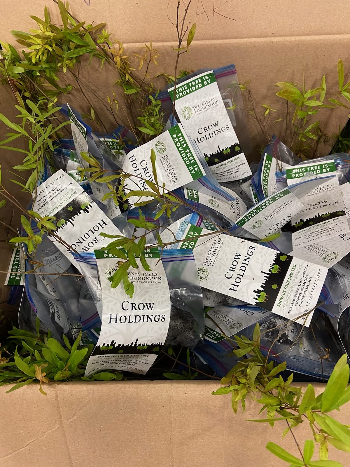Crow Holdings Announces Sponsorship of EarthX2022 Expo - Texas Trees